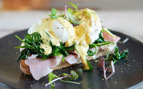 Albert & Moore - Accommodation Daintree 10