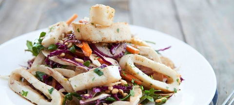 Albert & Moore - Accommodation Daintree 17