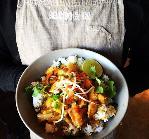 Albert & Moore - Accommodation Daintree 1