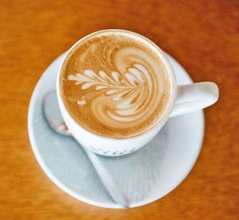 Albert & Moore - Accommodation Daintree 8