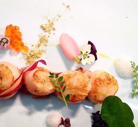 Annie's Provedore - Accommodation Daintree 4