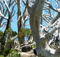 Alpine Eyre - Accommodation Daintree