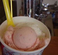 Bermagui Gelati Clinic - Accommodation Daintree