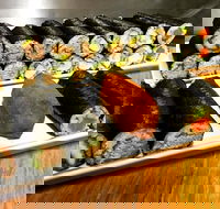 Freewave Sushi  Burgers - Accommodation Daintree