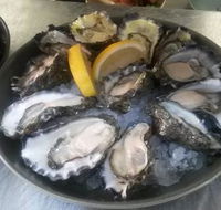 Hamilton's Oyster Bar - Accommodation Daintree