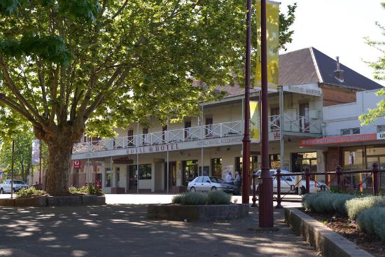 Atholwood NSW Accommodation Daintree