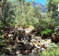 Star Chinese Restaurant - Accommodation Daintree