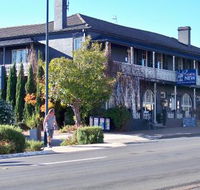 Coachwood  Cedar Motor Hotel Restaurant - Accommodation Daintree