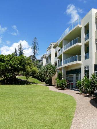 Cabarita Beach NSW Accommodation Daintree