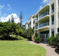The Beach Bar - Accommodation Daintree