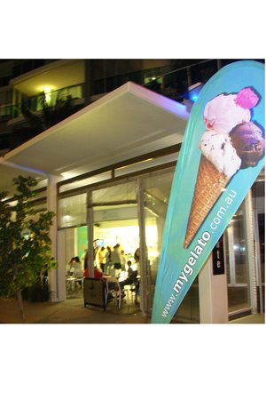 Coolangatta QLD Accommodation Daintree