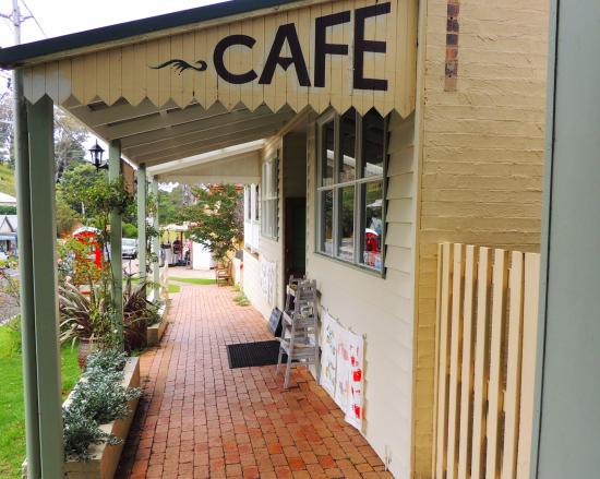Central Tilba NSW Accommodation Daintree