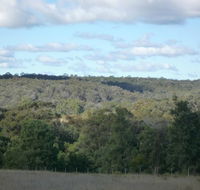 U Saucey Thing - Accommodation Daintree
