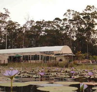 Abundance Cafe and Garden Centre - Accommodation Daintree