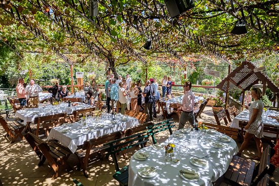 Wallamore NSW Accommodation Daintree