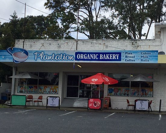 Tyndale NSW Accommodation Daintree