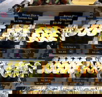 Sushi Paradise - Toowong - Accommodation Daintree