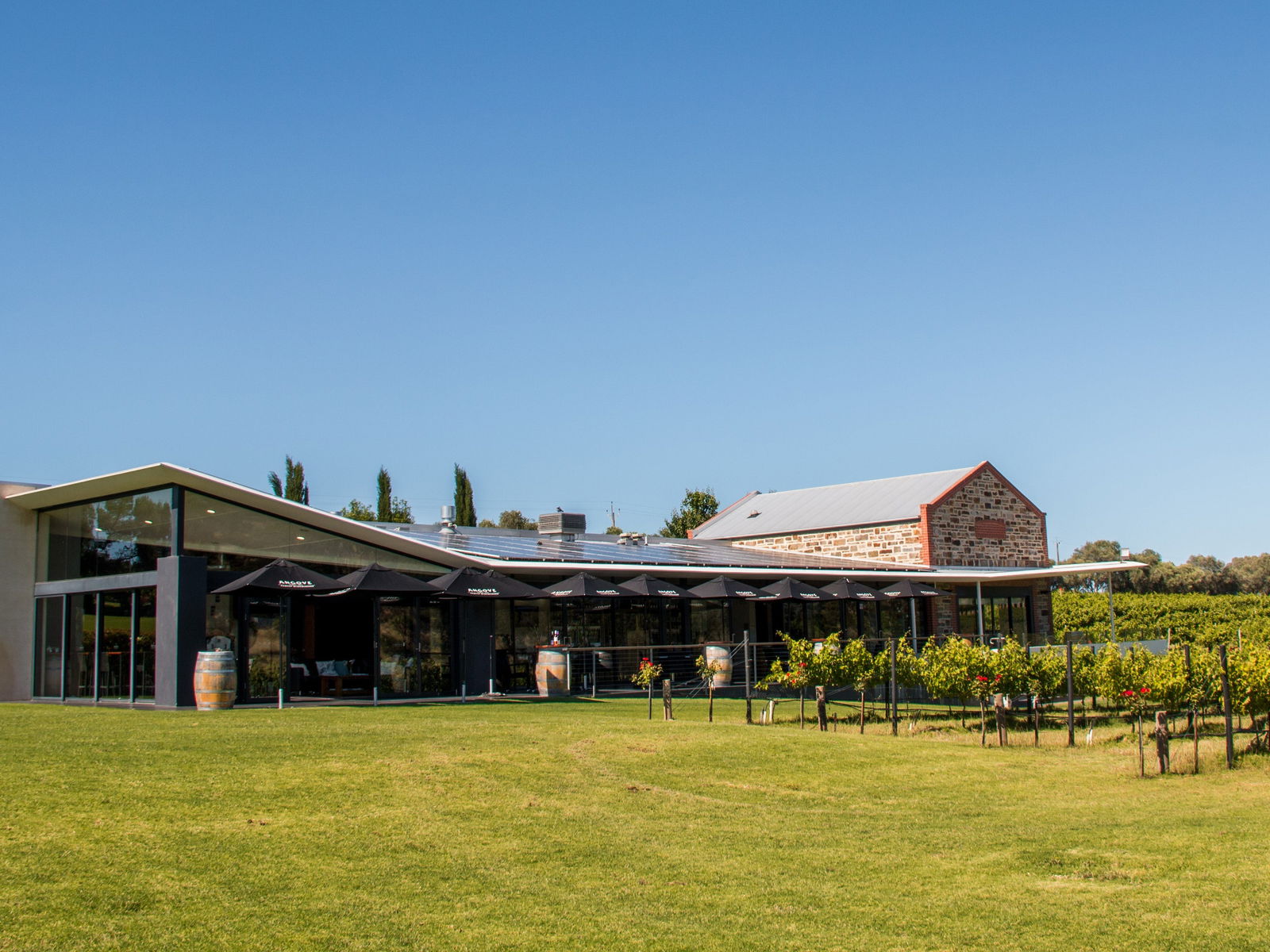 Mclaren Vale SA Accommodation Daintree