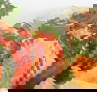 Raavi's Cumin - Accommodation Daintree