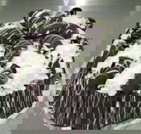 Caf Siciliadolce Pasticceria - Accommodation Daintree