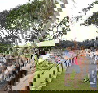 Darwin Ski Club - Accommodation Daintree