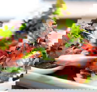 Garfish - Crows Nest - Accommodation Daintree