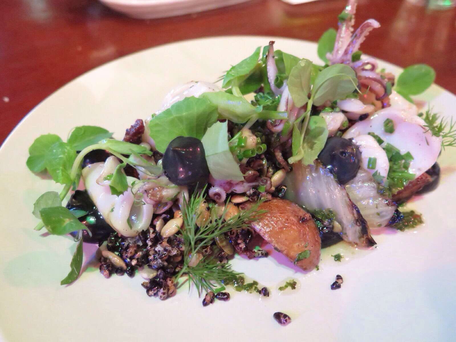 Samford Village QLD Accommodation Daintree