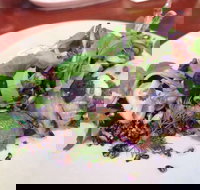 YaYa Bar and Eatery - Accommodation Daintree