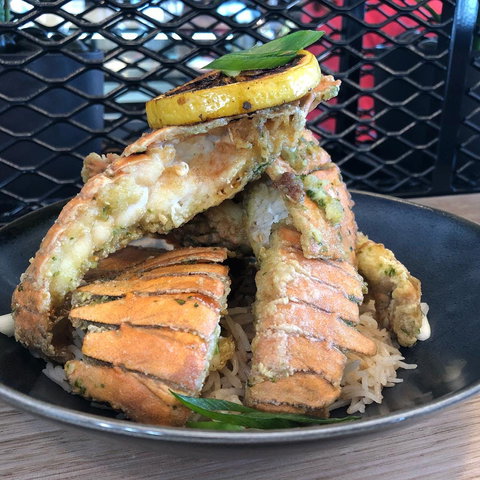 The Fish House - Accommodation Daintree 0