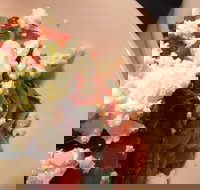 Hub Cafe Kitchen - Accommodation Daintree