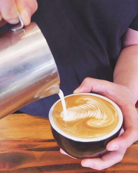 Willis And Anderson - Accommodation Daintree 0