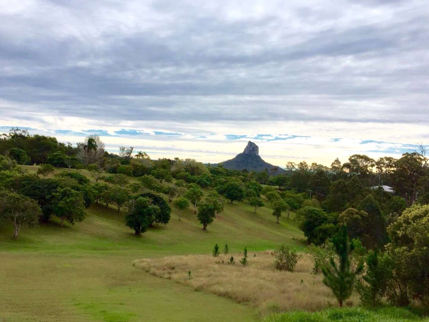 Beerwah QLD Accommodation Daintree