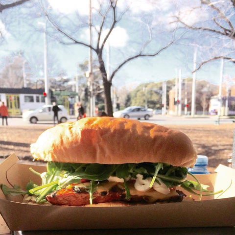 Señor Churro - Accommodation Daintree 0