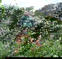 The Cidery - Accommodation Daintree