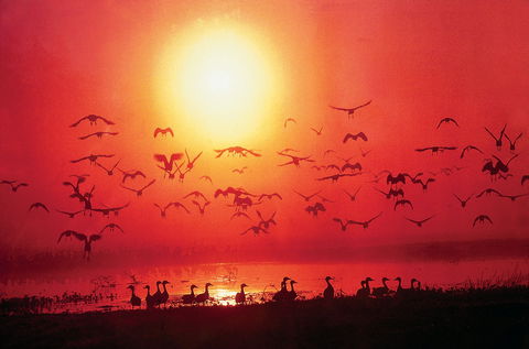 Airport Tavern - Darwin International Airport - Accommodation Daintree 0