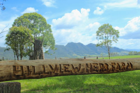 Hillview Herb Farm - Accommodation Daintree 0