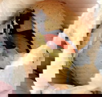 Post Office Cafe - Accommodation Daintree