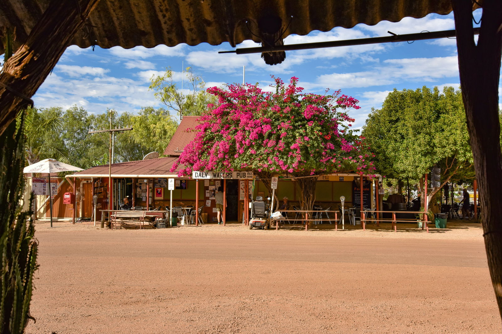 Arnold NT Accommodation Daintree