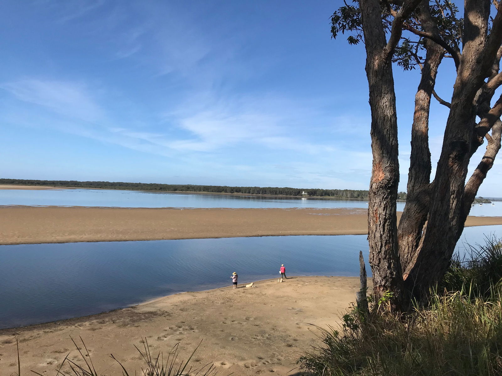 Shoalhaven Heads NSW Accommodation Daintree