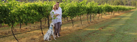 Greenway Wines - Accommodation Daintree 1
