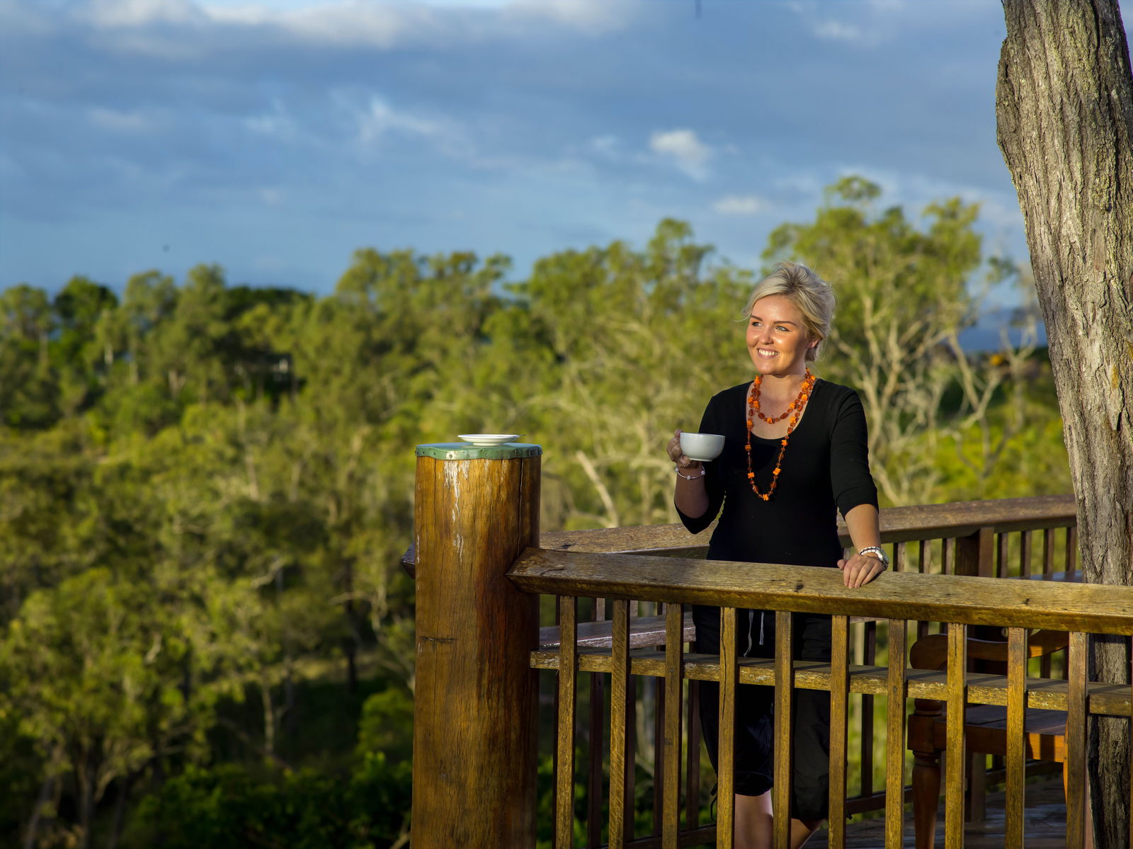 Mareeba QLD Accommodation Daintree