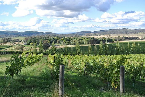 Sassy Wines - Accommodation Daintree 0