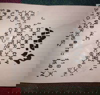 Bubba Pizza - Mount Barker - Accommodation Daintree