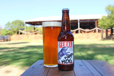 Feral Brewing Company - Accommodation Daintree 1