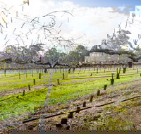 Long Point Vineyard and Art Gallery - Accommodation Daintree