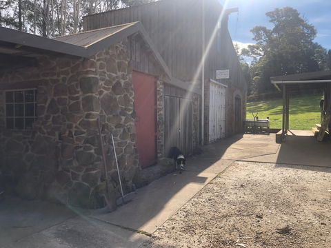 Wilmot Hills Orchard & Distillery - Accommodation Daintree 1