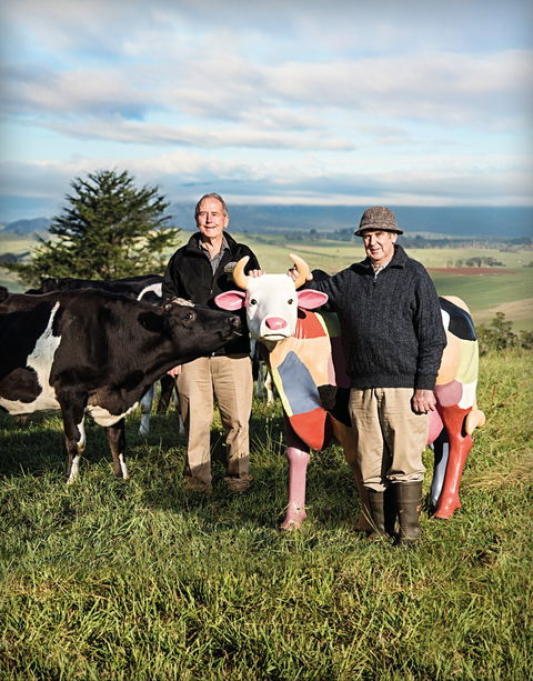 Ashgrove Farm Cheese - Accommodation Daintree 1