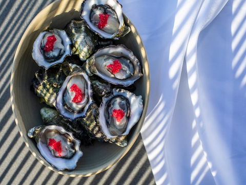 The Rocks - Restaurant, Bar, Pool Club - Accommodation Daintree 1