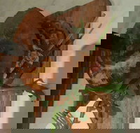 Burgermeister - Accommodation Daintree