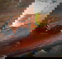 Samford Valley Hotel - Accommodation Daintree